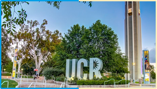 Campus photo